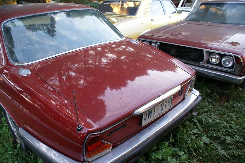 XJ6 Jaguar SIII Perfect Bootlid 2.JPG